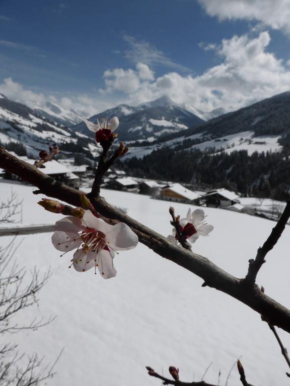 Apartament Heachhof Alpbach Zewnętrze zdjęcie