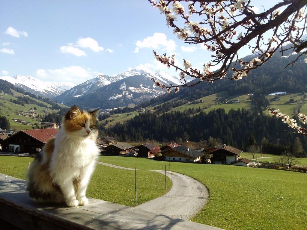 Apartament Heachhof Alpbach Zewnętrze zdjęcie